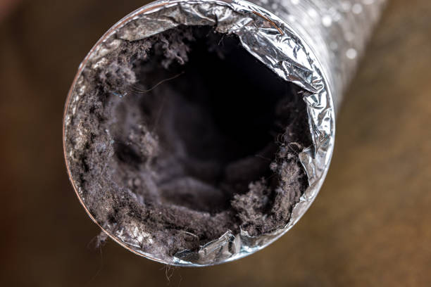  Ricardo, TX Airduct Cleaning Pros