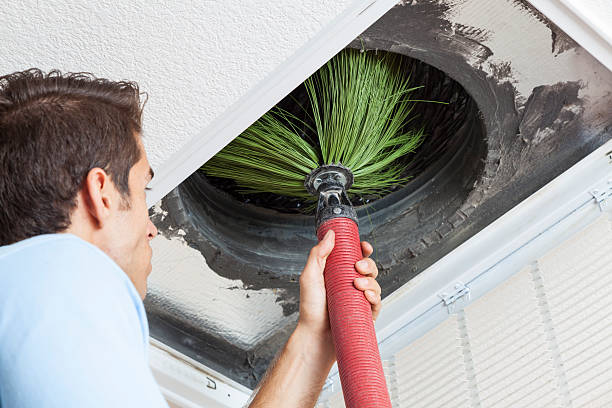 Best Best Air Duct Cleaning Company  in Ricardo, TX