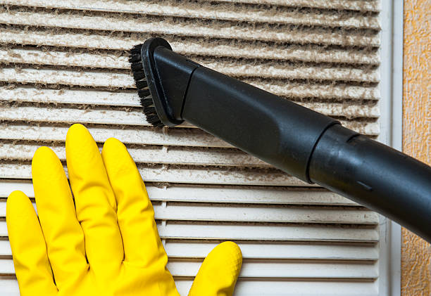Best Affordable HVAC Duct Cleaning  in Ricardo, TX